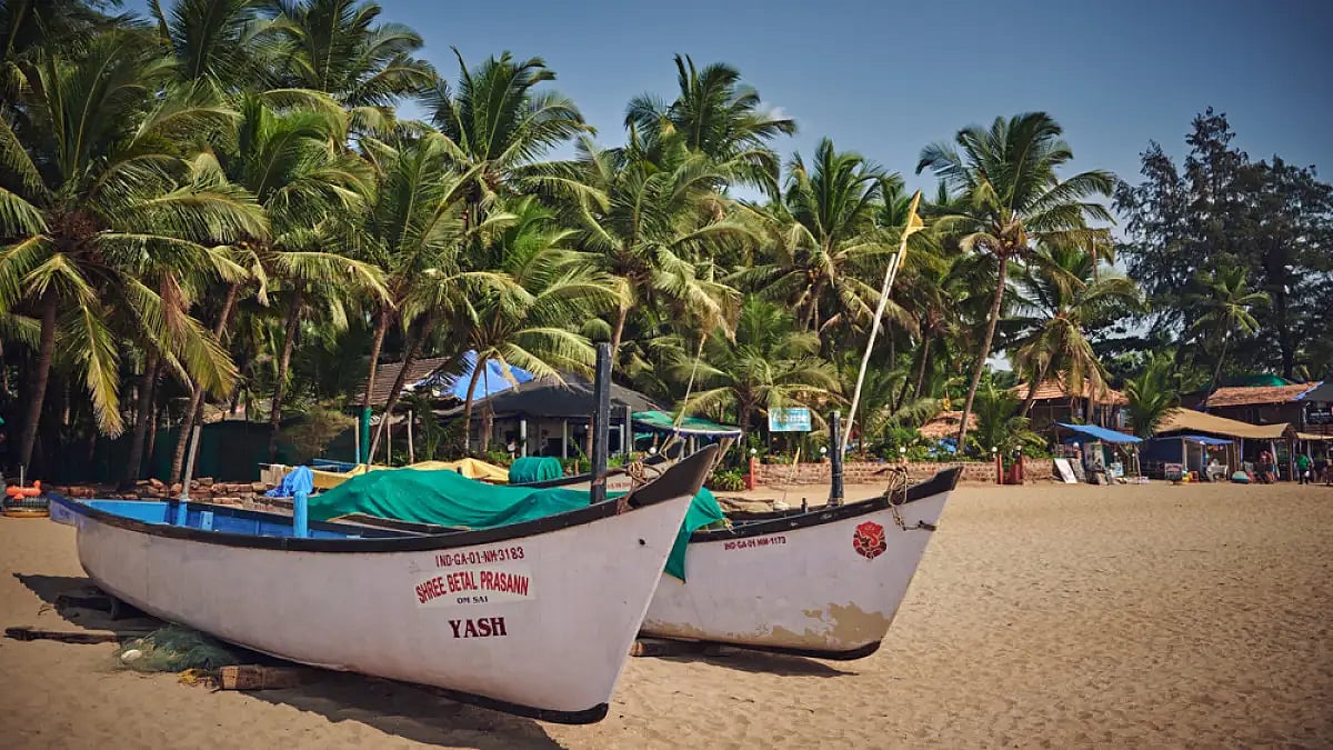 Goa Tourism Development Corporation and Goa Forest Department have launched an overnight activity