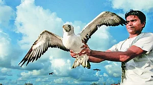 We The People: Meet Mumbai's Birdman And His Feathered Friends