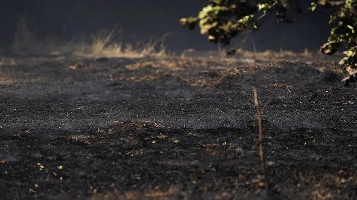 Britain Drought