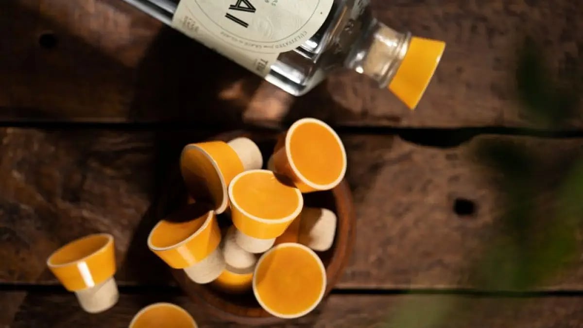 Terai is a grain-to-glass Indian craft gin made in Rajasthan in the style of a London Dry Gin