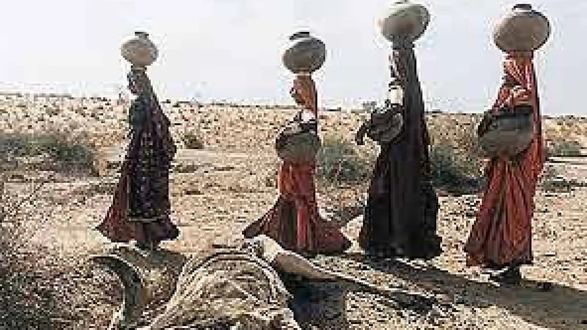 Widespread rainfall this season has brought cheer to Rajasthan