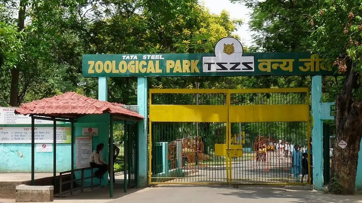 Water entered the low lying areas of the zoo, near the leopard enclosure, causing a tragic incident