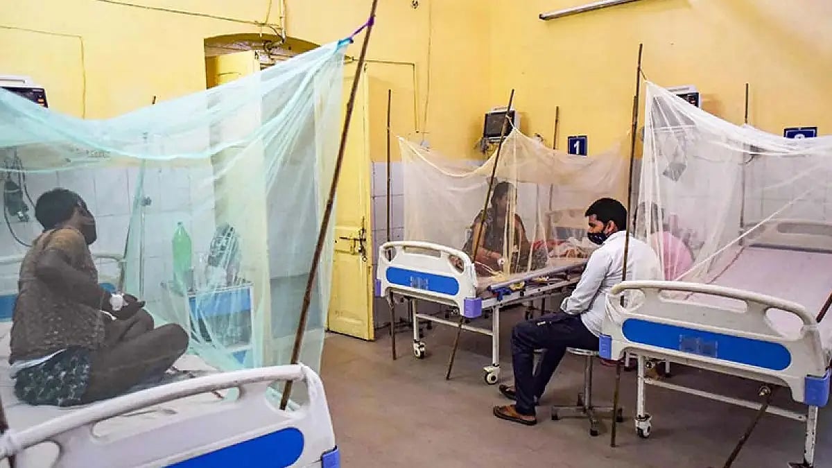 No death has been reported so far this year due to Dengue