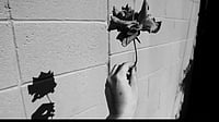 Poems On Karma, Dhamma, And Friendship Poems on karma, dhamma and friendship