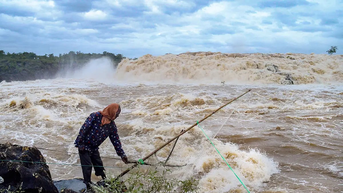 Monsoon Rains