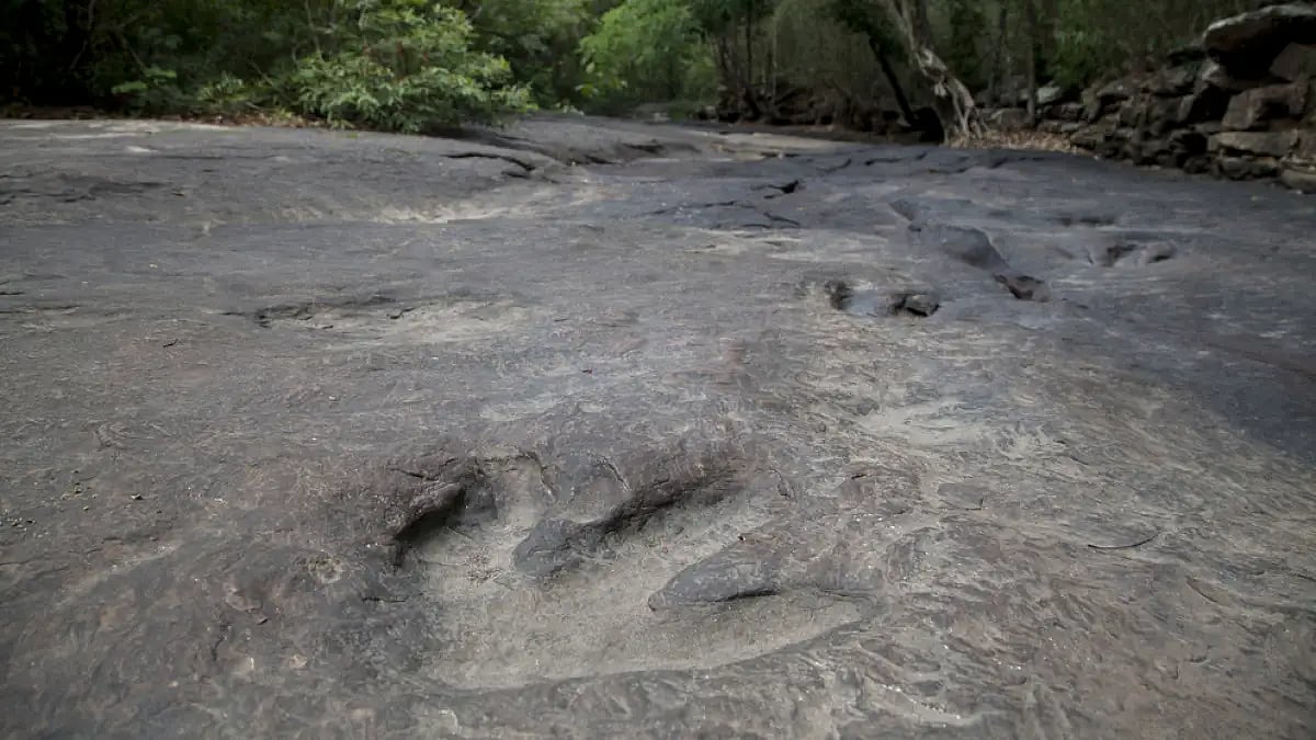 The trails are visible now due to dry weather