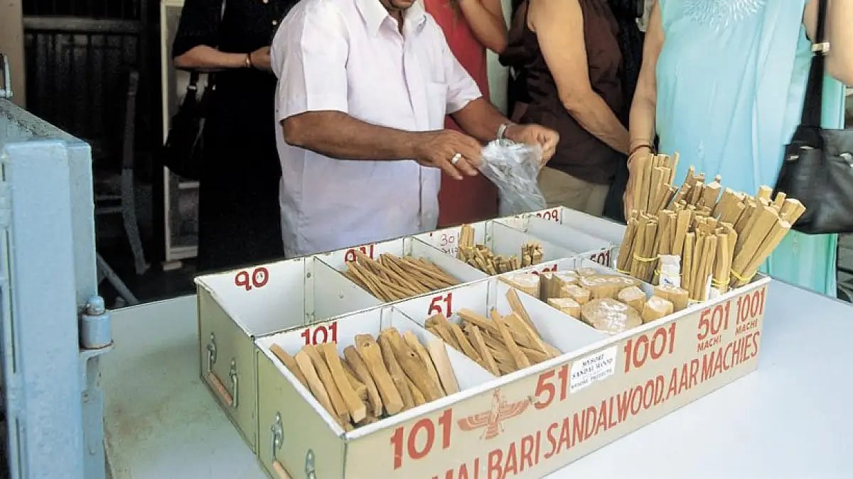 Besides extra care, security guards will be deployed for the sandalwood saplings