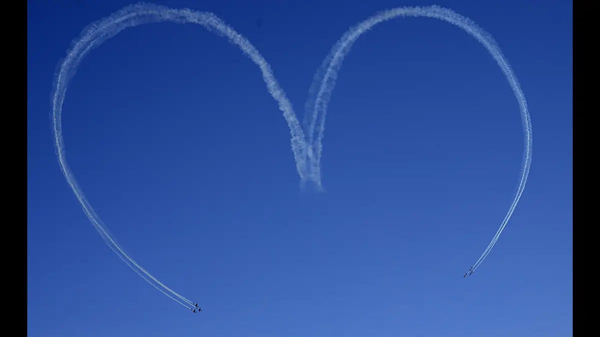 Brazil Emperors Heart