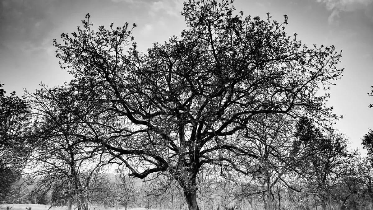 Representational image