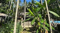 The Story Of Andaman’s First Recycled Eco-Luxury Resort The resort is nestled amid palm-lined trees