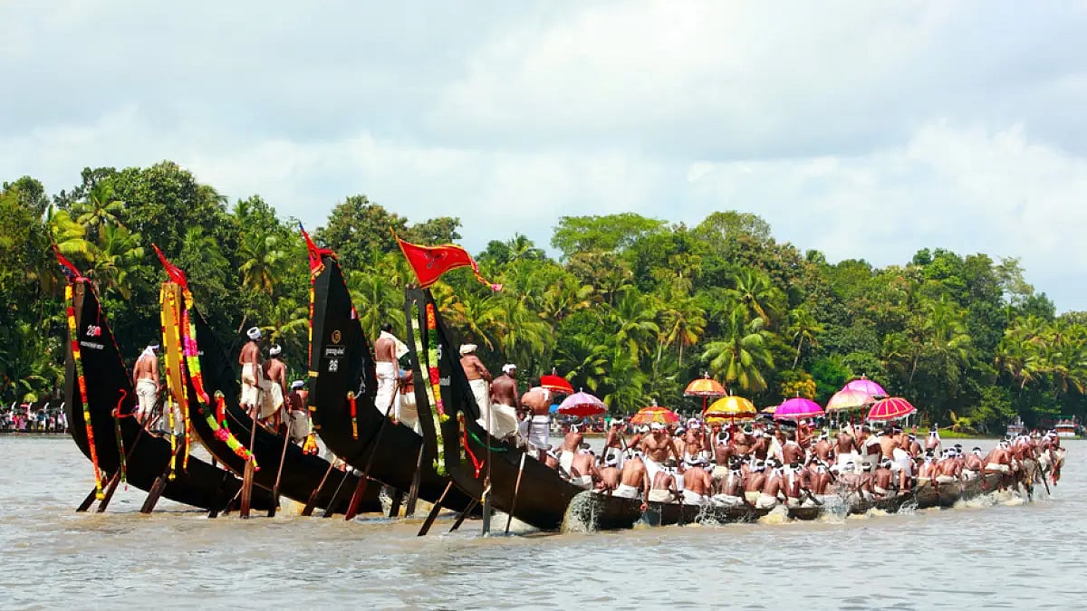 The snake boats, known as chundan vallom, race on the great backwaters of Kerala