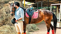Equine Diary: A Horse For Every Course Equine Diary: A Horse For Every Course