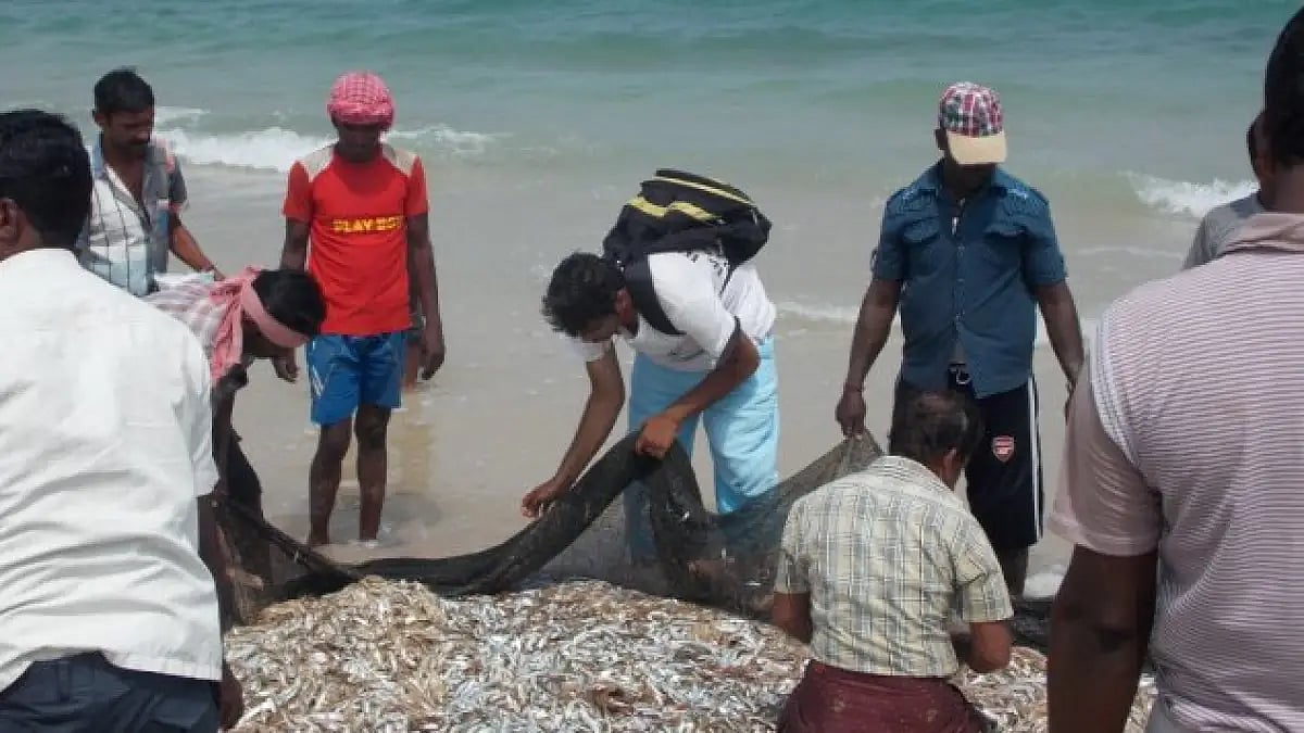 Andaman And Nicobar Islands Research