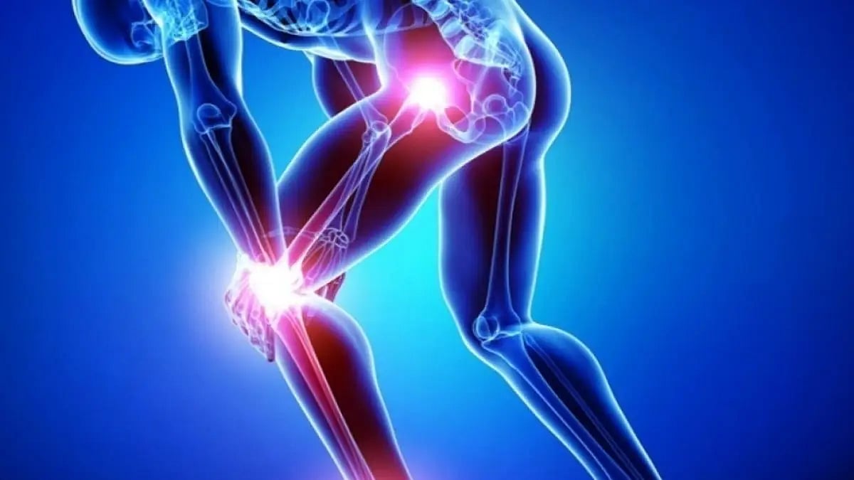 Best Joint Supplements