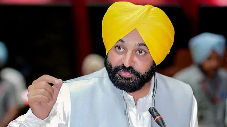 LS Polls Not About Winning Or Losing But To 'Save Democracy, Constitution': CM Mann - File Image