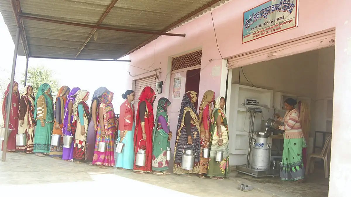 In Pictures: Balinee Milk Producer Company; A Business Spearheaded By Women Only