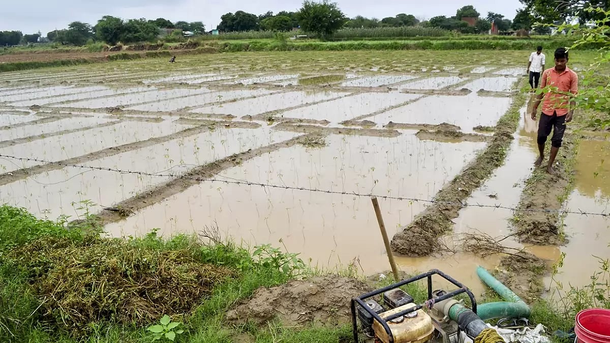 Agriculture: Damaged crops in UP 