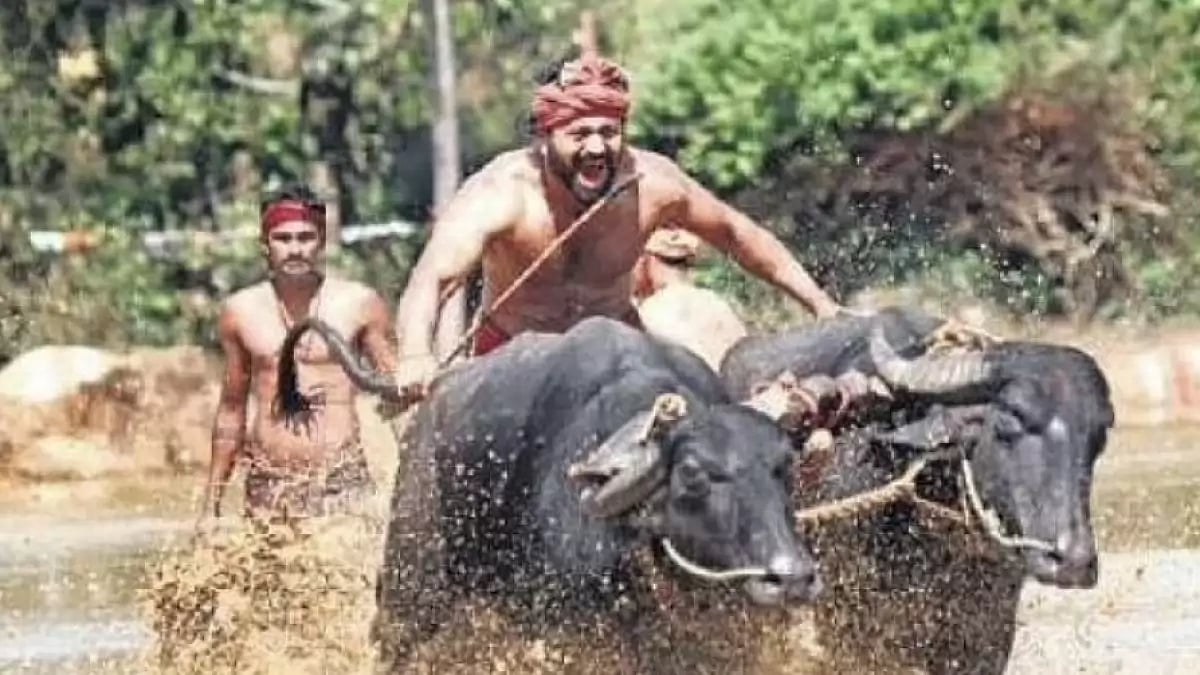 Still from 'Kantara'