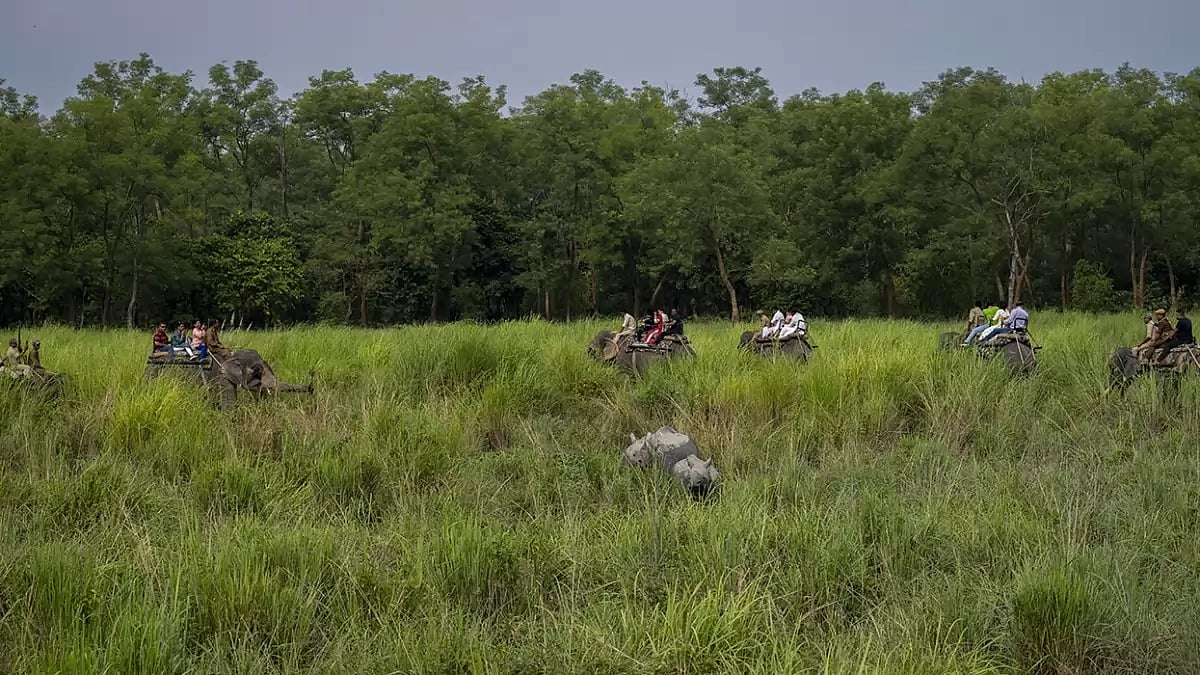Pobitora Wildlife Sanctuary