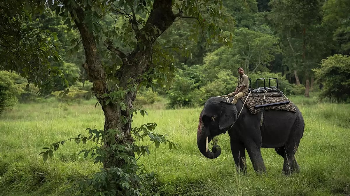 Pobitora Wildlife Sanctuary