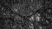 Poem: Your Eyes Kept Me Awake Weekend poetry