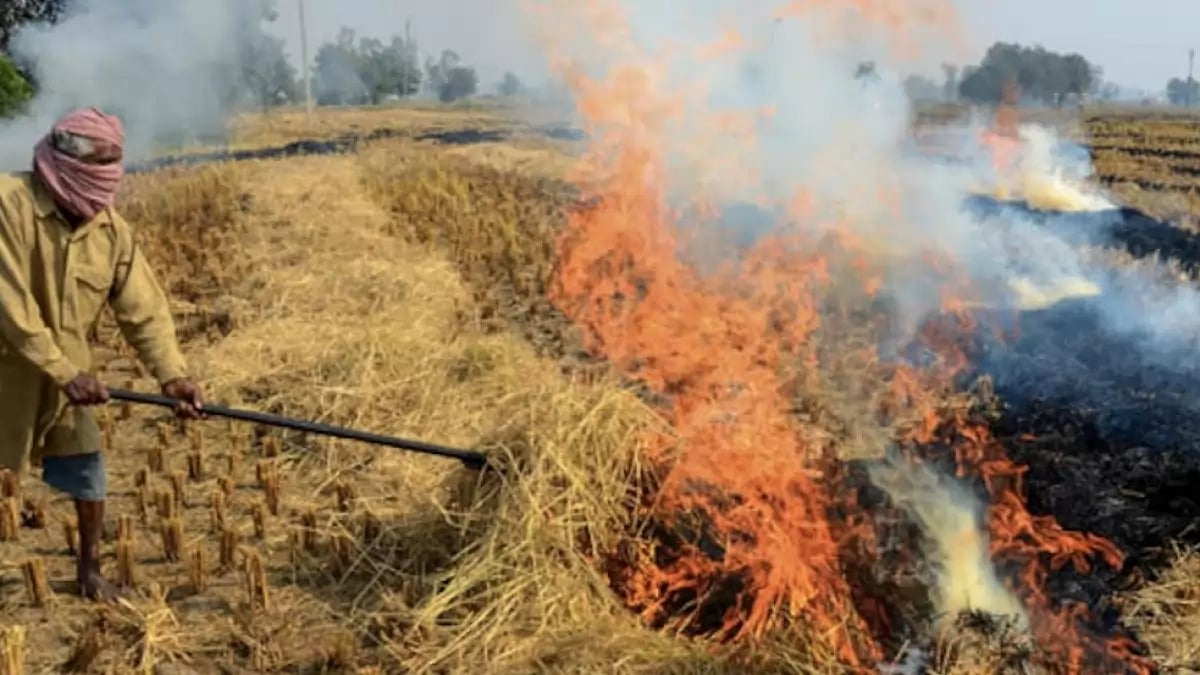 Stubble burning: Representative image