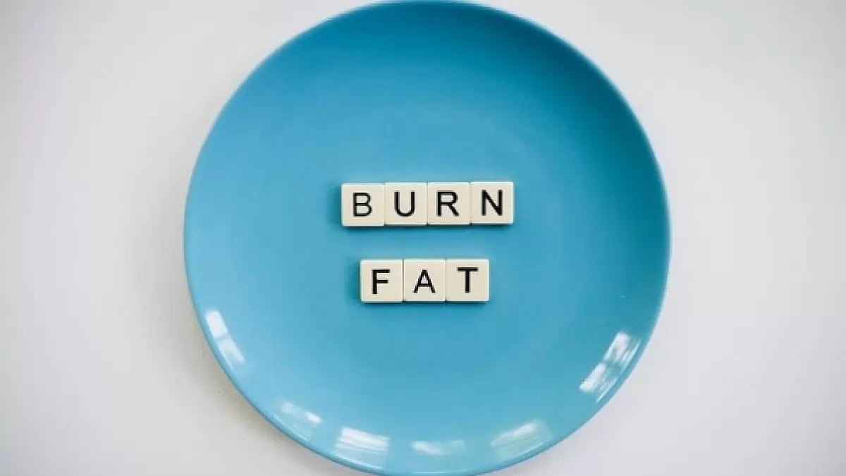Best Fat Burning GNC Appetite Suppressants