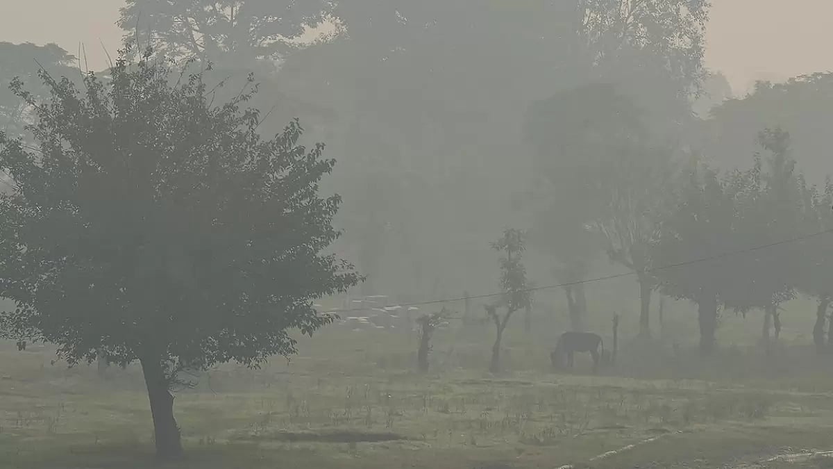 Weather: Delhi AQI nears severe zone 