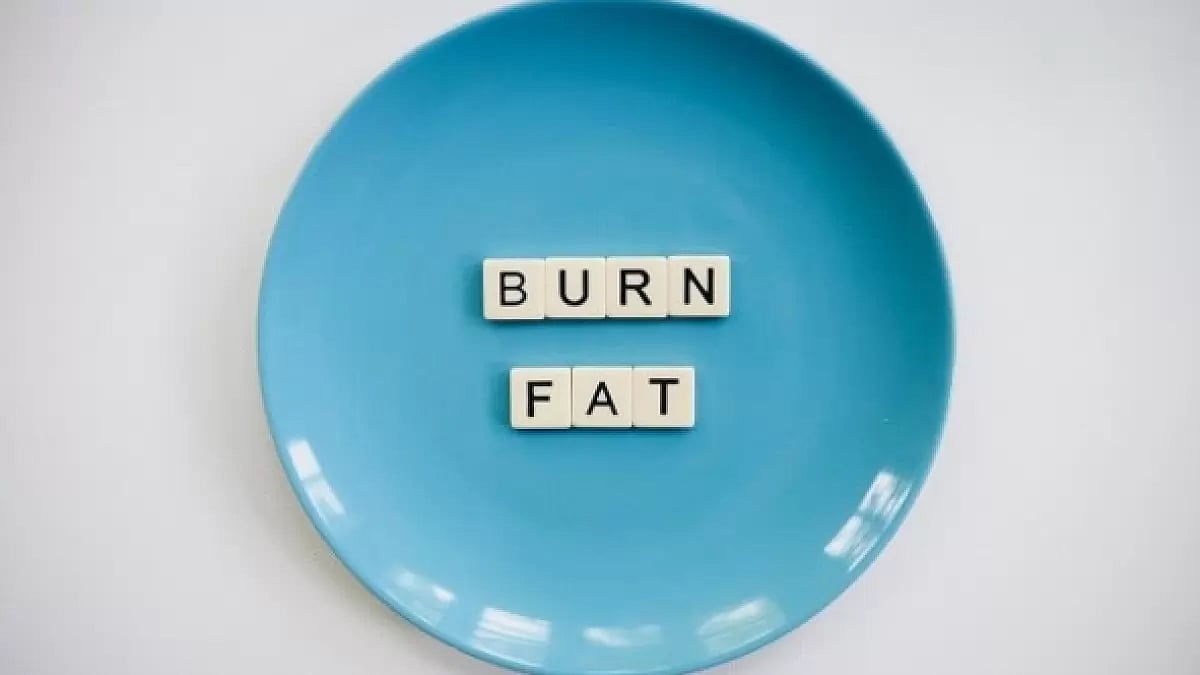 Best Fat burner For Belly Fat For Female 