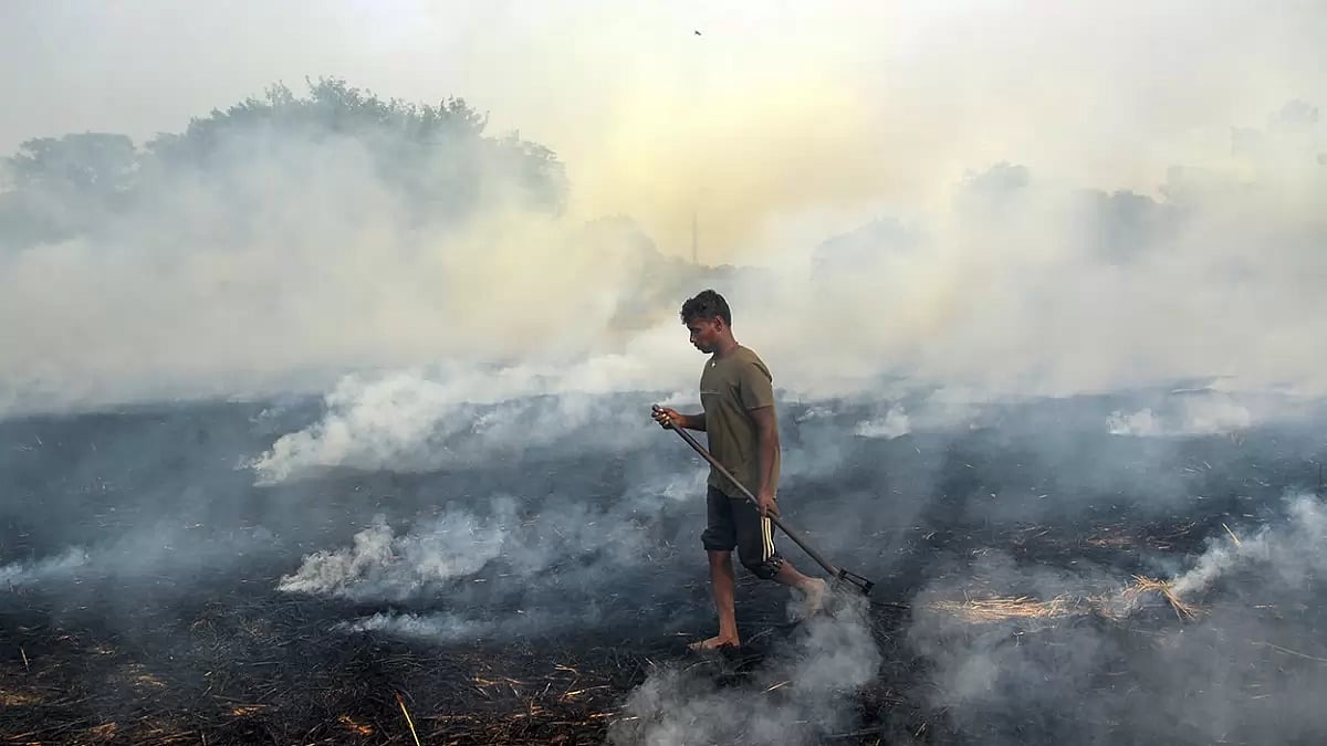 Stubble burning in Jalandhar 