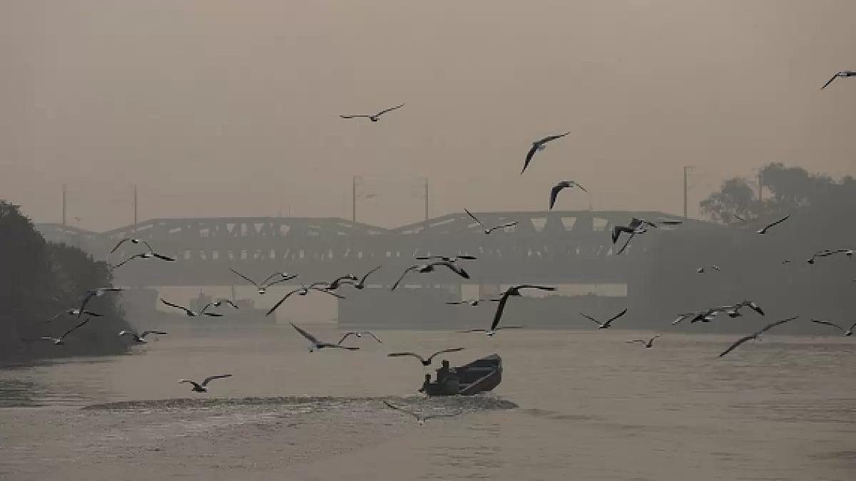 The Hindi Anthropocene