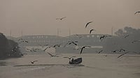 Tackling Climate Change: Hindi Journal Looks At The Anthropocene In A First The Hindi Anthropocene