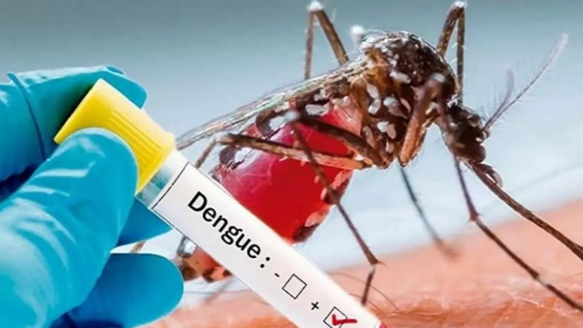 Dengue 