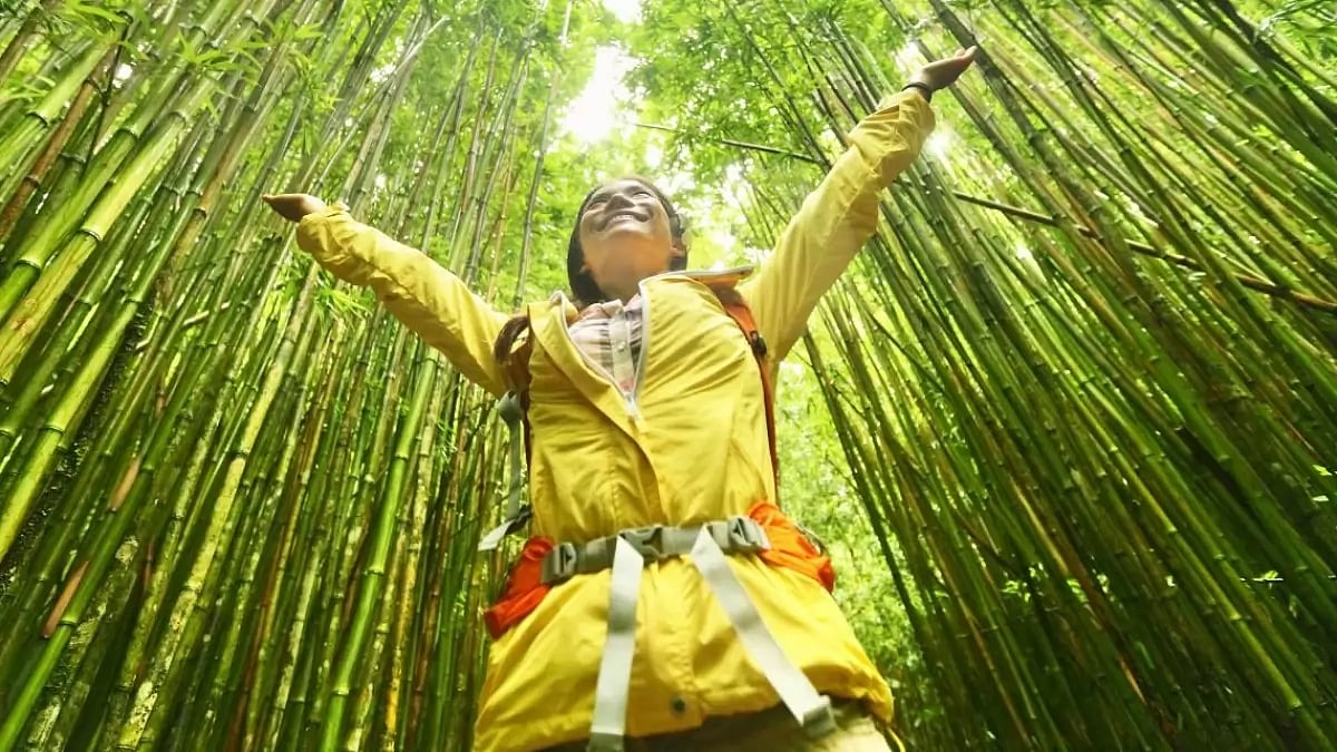 Sustainable hotels