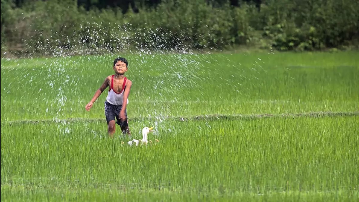 A young boy playing in above normal rain water in a paddy field in Assam at Duliajan.