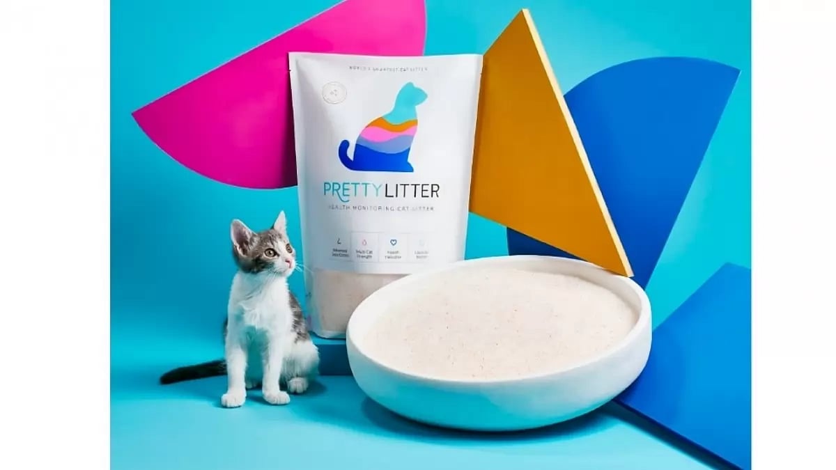 Pretty Litter