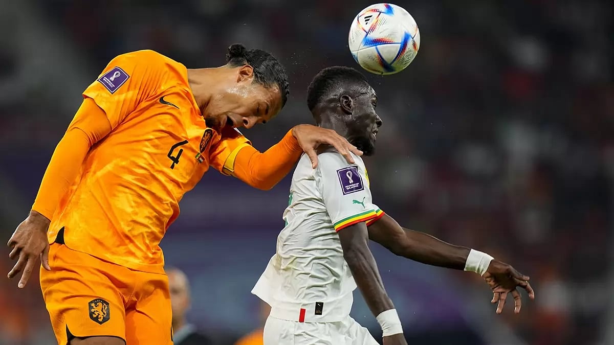 FIFA World Cup 2022: Two Late Goals Help Netherlands Secure 2-0 Win Over Senegal – In Pics