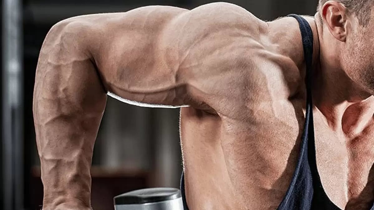 TOP 7 STEROIDS UK 