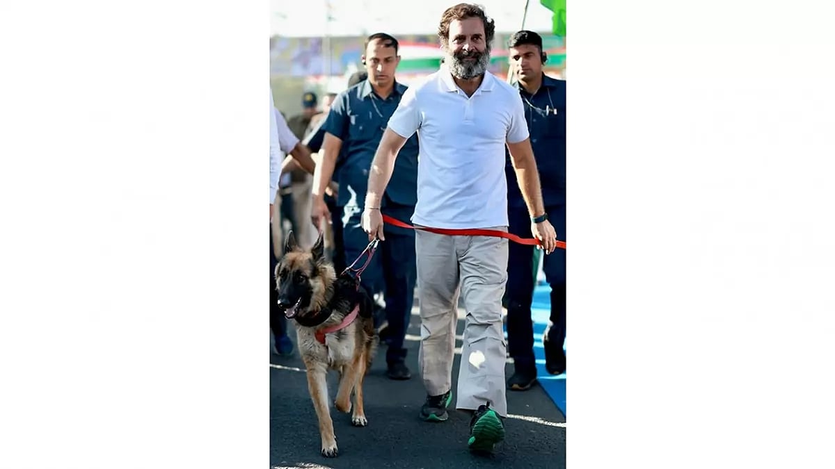 Bharat Jodo Yatra