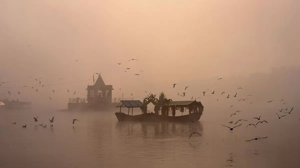 Migratory birds in Jabalpur