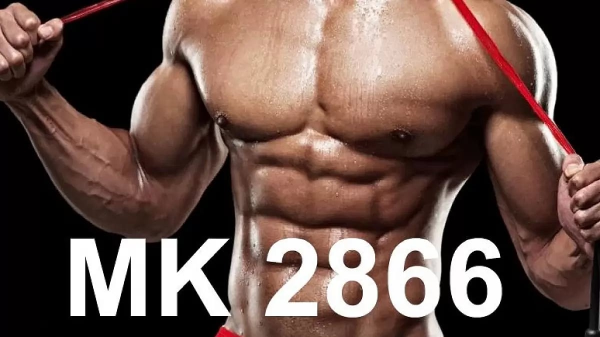 MK 2866 for Sale 