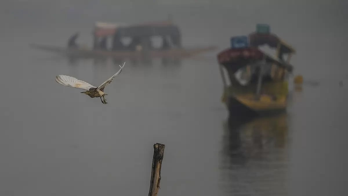 Kashmir Weather