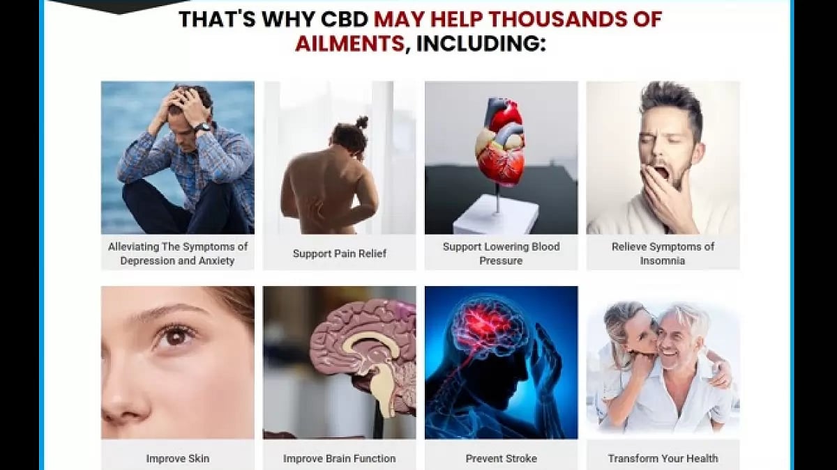 Harrier CBD Gummies