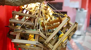 Small wooden cradles placed by Hindu families praying to have children.
