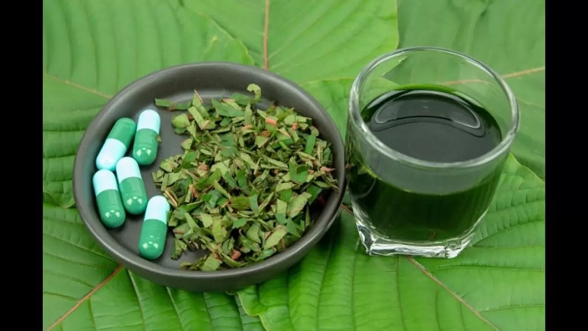 Best Kratom Brands