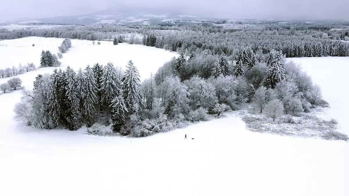 Snowfall in Germany