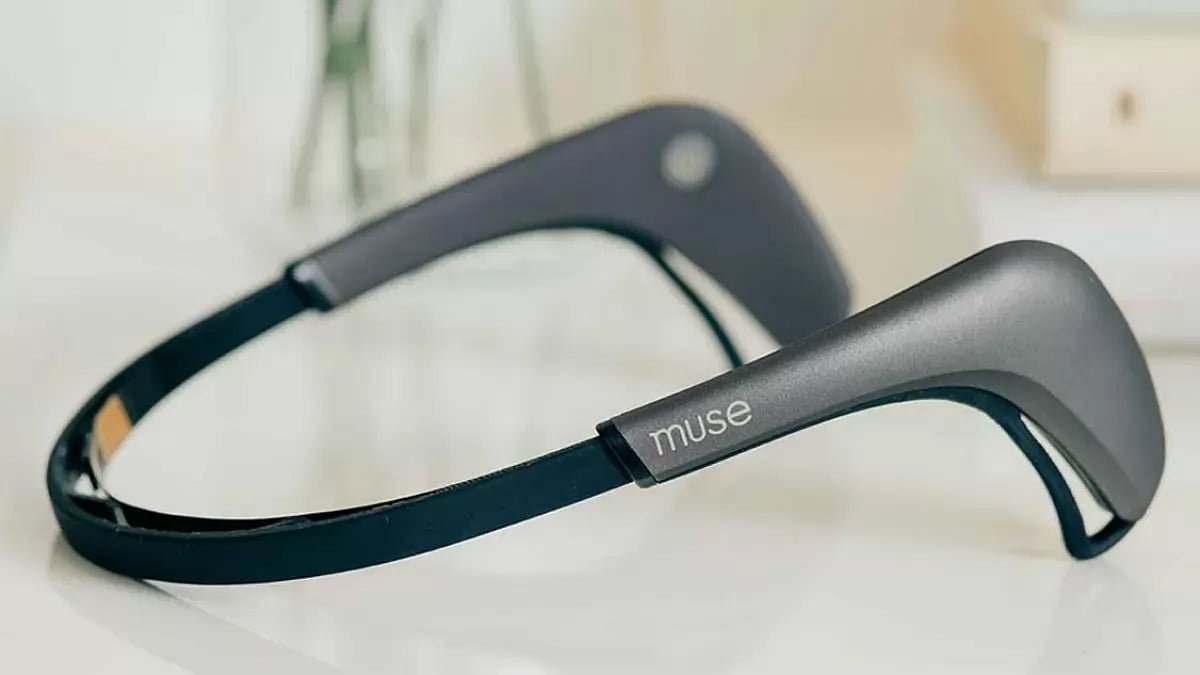 Muse Reviews
