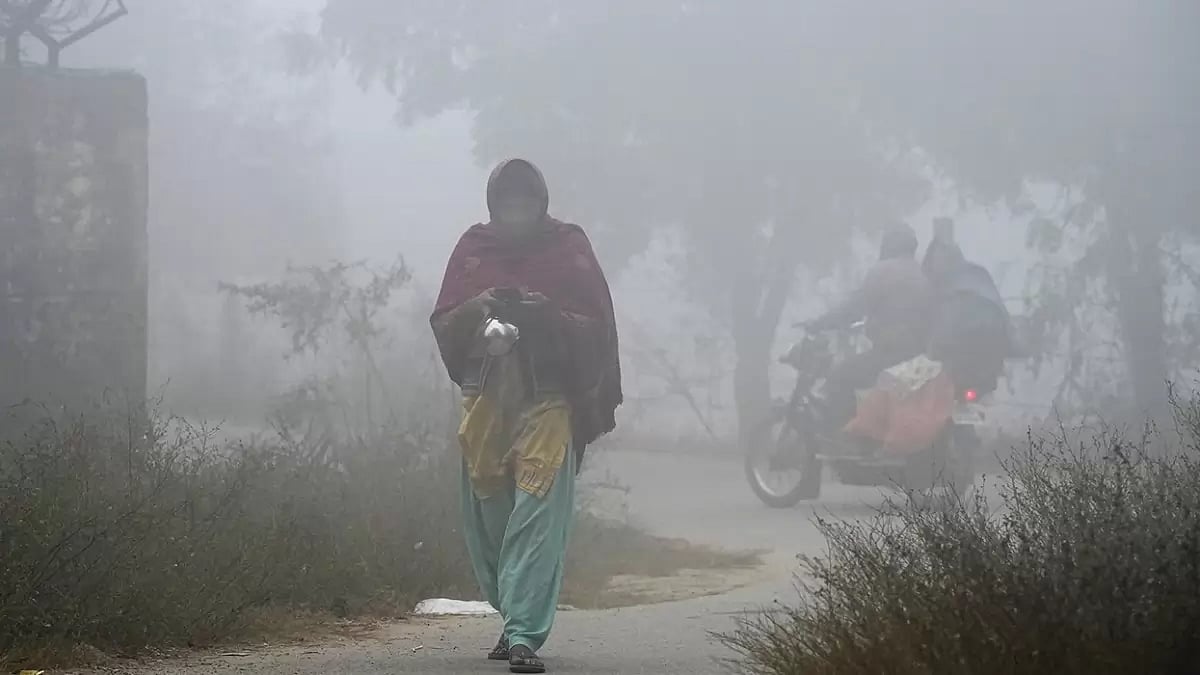 Fog in Gautam Buddha Nagar