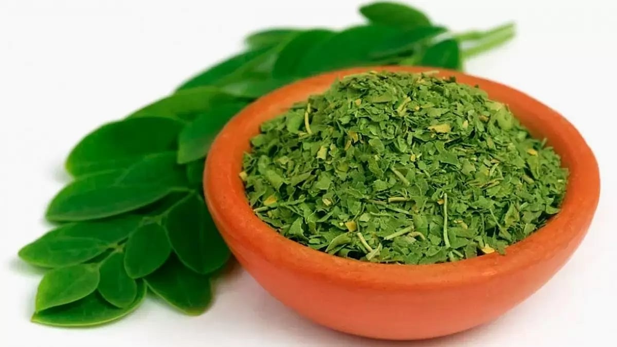 Best Moringa Supplements (2023) 