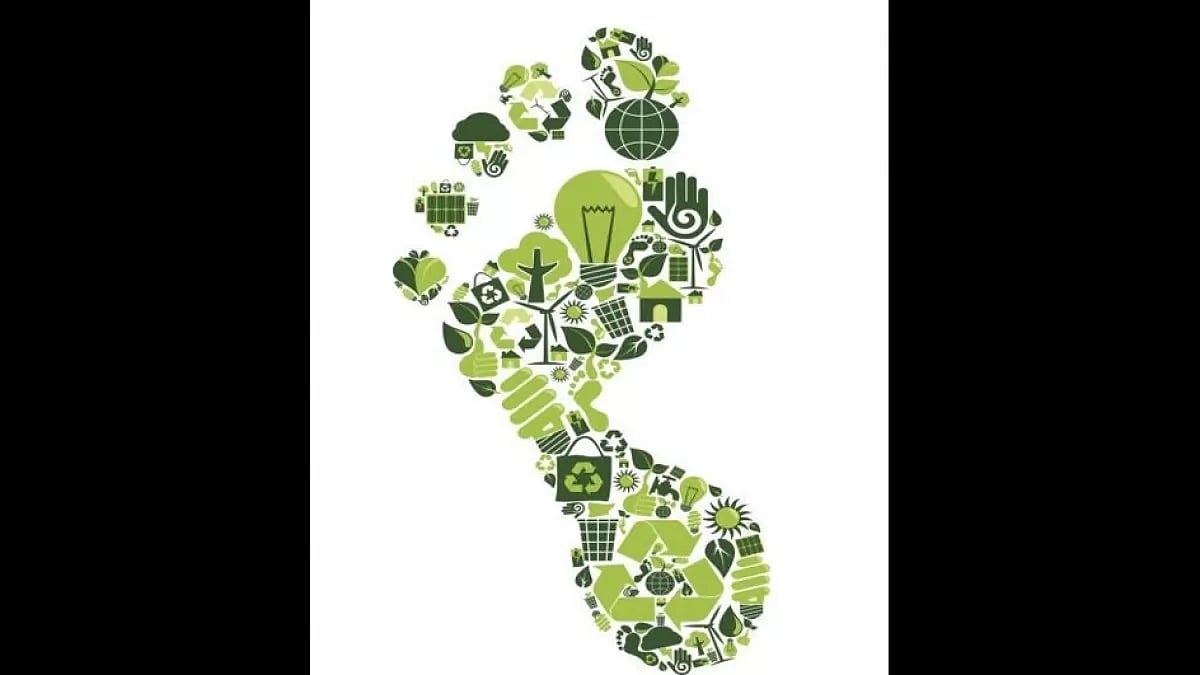 Carbon Footprint